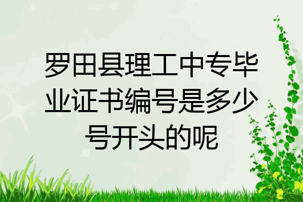罗田县理工中专毕业证书编号是多少号开头的呢