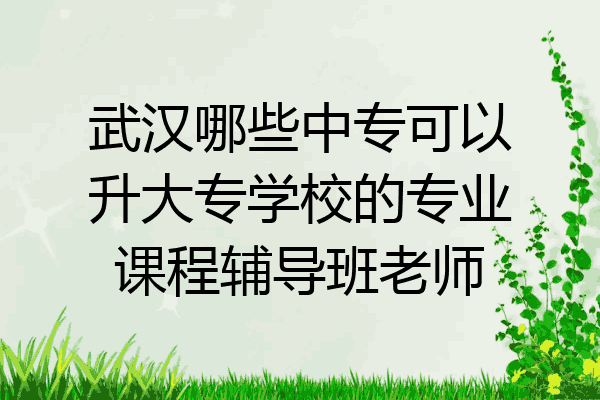 武汉哪些中专可以升大专学校的专业课程辅导班老师