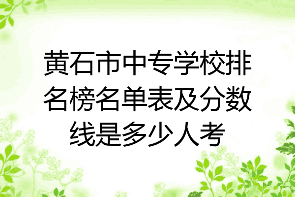 黄石市中专学校排名榜名单表及分数线是多少人考