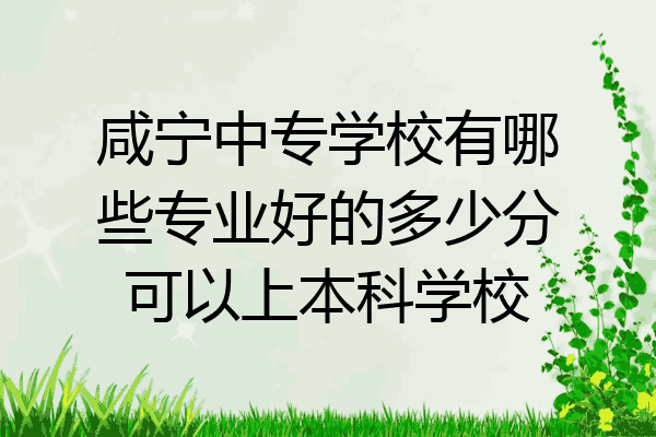 咸宁中专学校有哪些专业好的多少分可以上本科学校