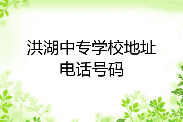 洪湖中专学校地址电话号码