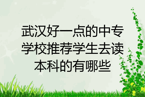 武汉好一点的中专学校推荐学生去读本科的有哪些