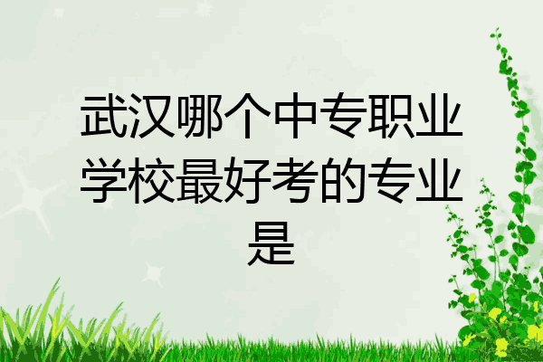 武汉哪个中专职业学校最好考的专业是