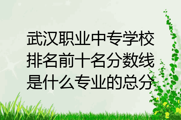 武汉职业中专学校排名前十名分数线是什么专业的总分