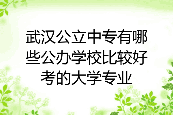 武汉公立中专有哪些公办学校比较好考的大学专业