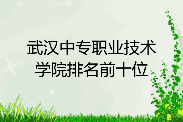 武汉中专职业技术学院排名前十位