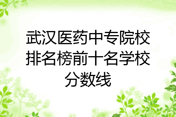 武汉医药中专院校排名榜前十名学校分数线