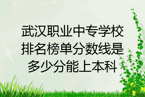 武汉职业中专学校排名榜单分数线是多少分能上本科