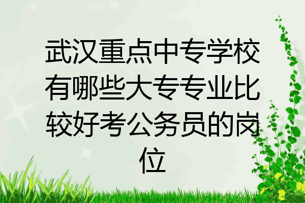 武汉重点中专学校有哪些大专专业比较好考公务员的岗位