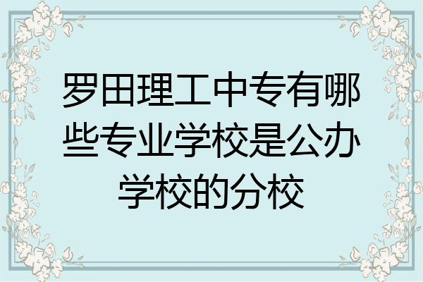罗田理工中专有哪些专业学校是公办学校的分校