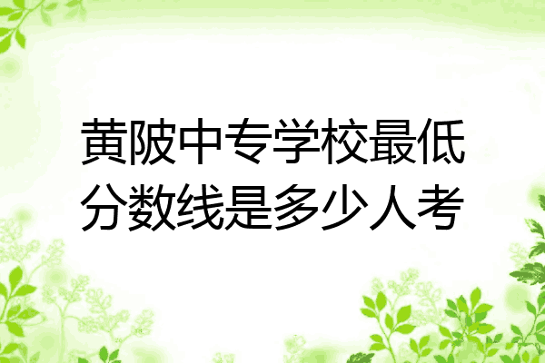 黄陂中专学校最低分数线是多少人考