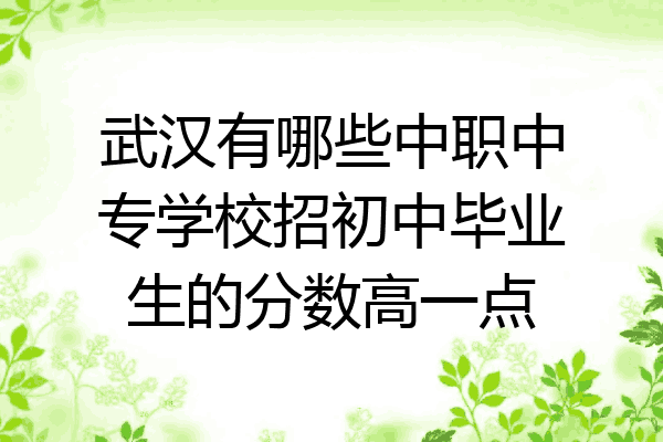 武汉有哪些中职中专学校招初中毕业生的分数高一点