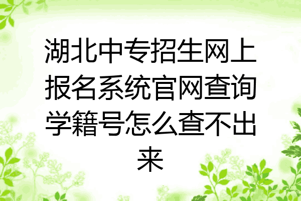 湖北中专招生网上报名系统官网查询学籍号怎么查不出来