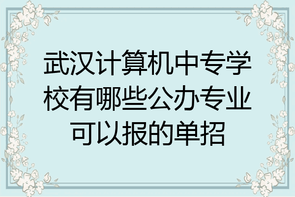 武汉计算机中专学校有哪些公办专业可以报的单招