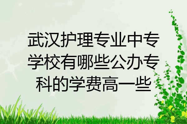 武汉护理专业中专学校有哪些公办专科的学费高一些