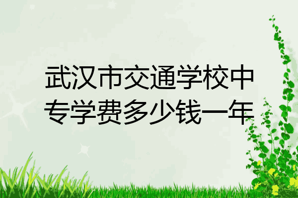 武汉市交通学校中专学费多少钱一年