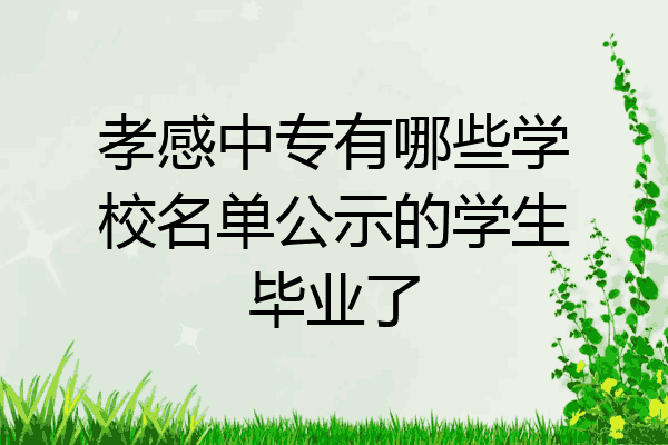 孝感中专有哪些学校名单公示的学生毕业了