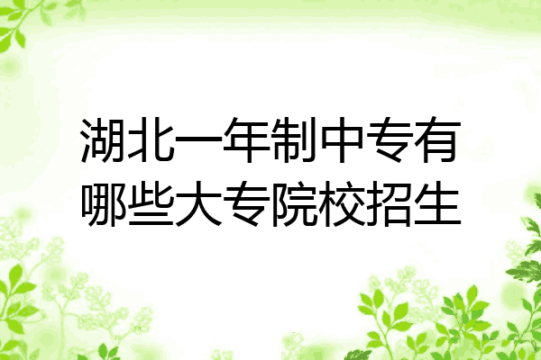 湖北一年制中专有哪些大专院校招生