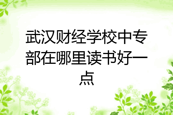 武汉财经学校中专部在哪里读书好一点