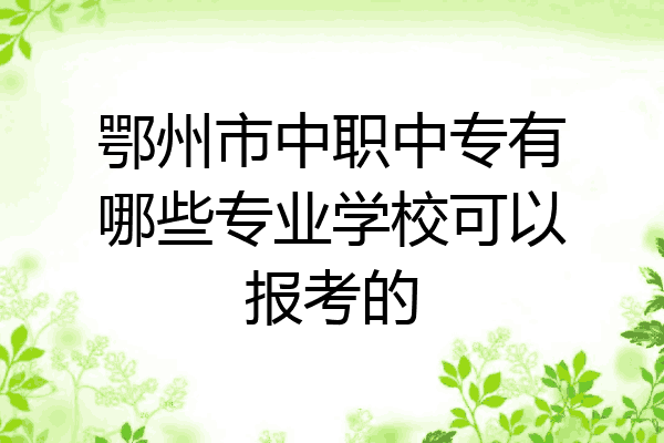 鄂州市中职中专有哪些专业学校可以报考的