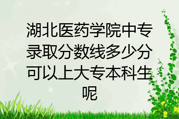 湖北医药学院中专录取分数线多少分可以上大专本科生呢