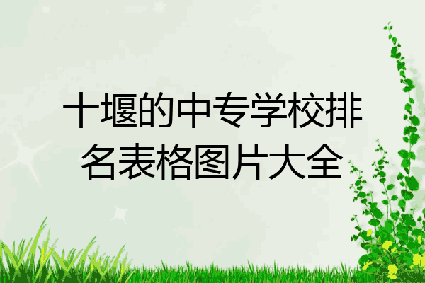 十堰的中专学校排名表格图片大全