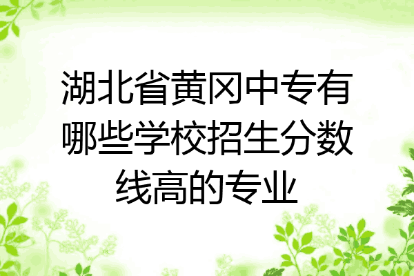 湖北省黄冈中专有哪些学校招生分数线高的专业