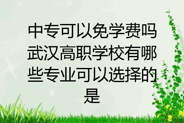 中专可以免学费吗武汉高职学校有哪些专业可以选择的是