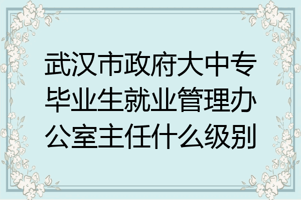 武汉市政府大中专毕业生就业管理办公室主任什么级别