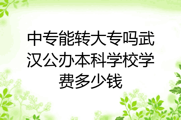 中专能转大专吗武汉公办本科学校学费多少钱