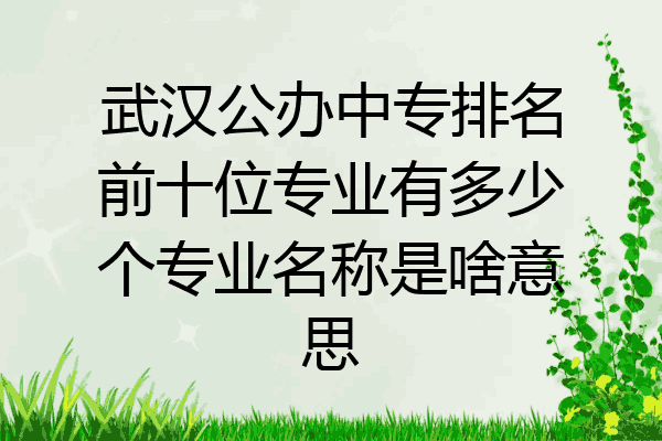 武汉公办中专排名前十位专业有多少个专业名称是啥意思