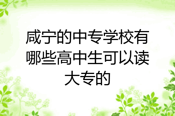 咸宁的中专学校有哪些高中生可以读大专的