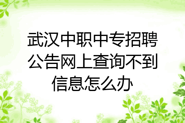 武汉中职中专招聘公告网上查询不到信息怎么办