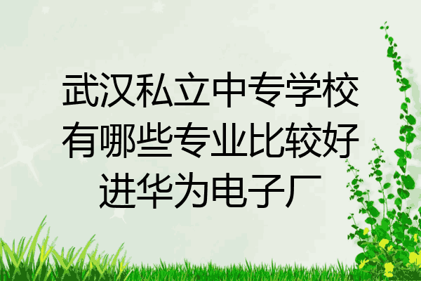 武汉私立中专学校有哪些专业比较好进华为电子厂