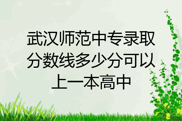 武汉师范中专录取分数线多少分可以上一本高中
