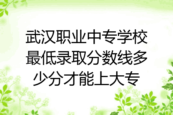 武汉职业中专学校最低录取分数线多少分才能上大专
