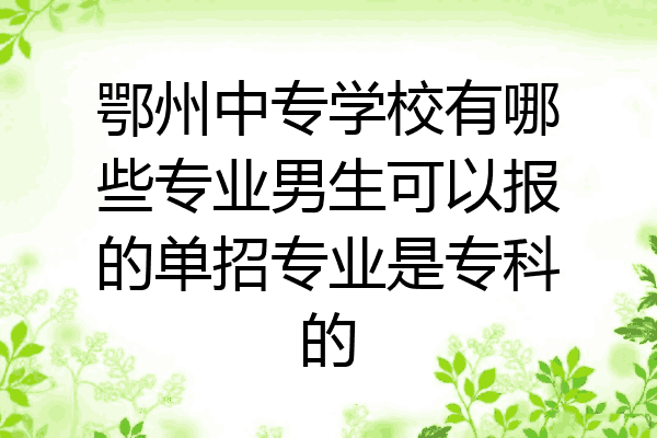 鄂州中专学校有哪些专业男生可以报的单招专业是专科的
