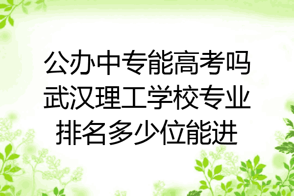 公办中专能高考吗武汉理工学校专业排名多少位能进