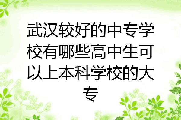 武汉较好的中专学校有哪些高中生可以上本科学校的大专