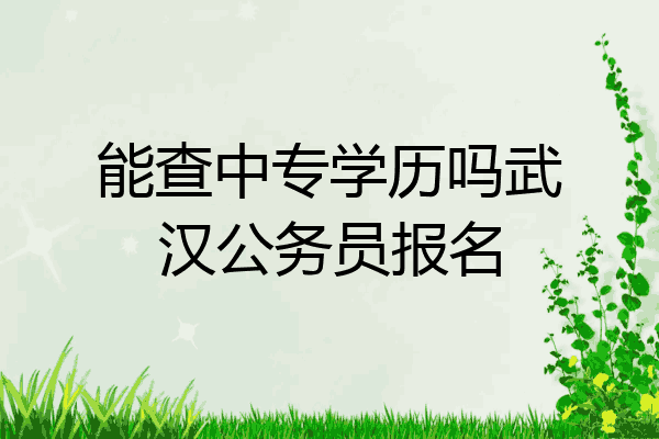 能查中专学历吗武汉公务员报名