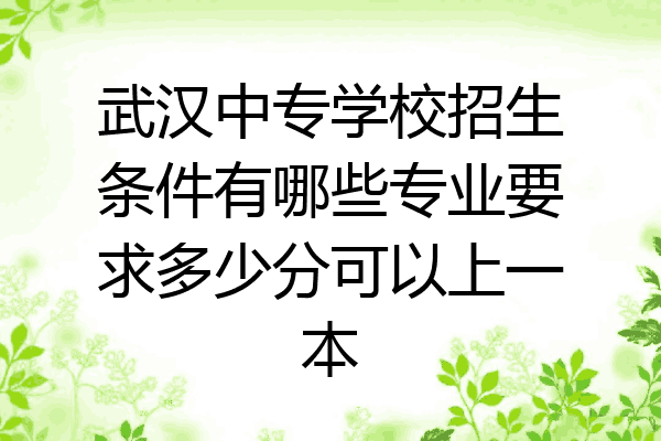 武汉中专学校招生条件有哪些专业要求多少分可以上一本