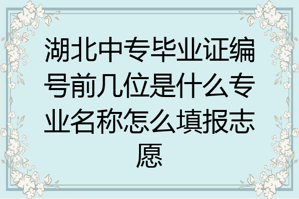 湖北中专毕业证编号前几位是什么专业名称怎么填报志愿