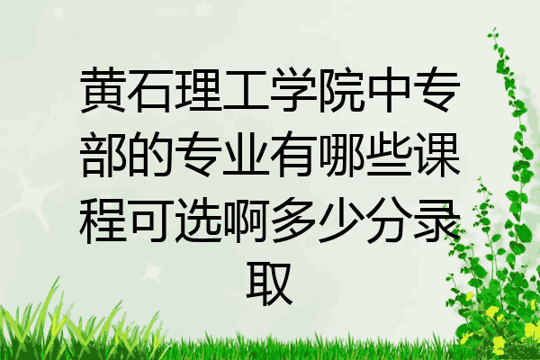 黄石理工学院中专部的专业有哪些课程可选啊多少分录取