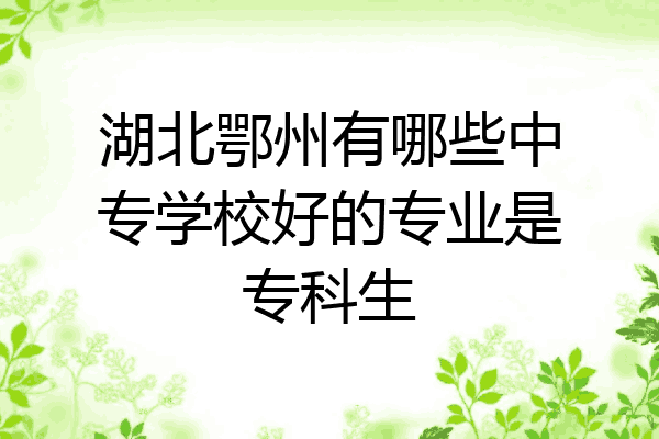 湖北鄂州有哪些中专学校好的专业是专科生