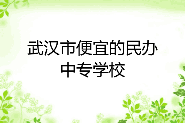 武汉市便宜的民办中专学校