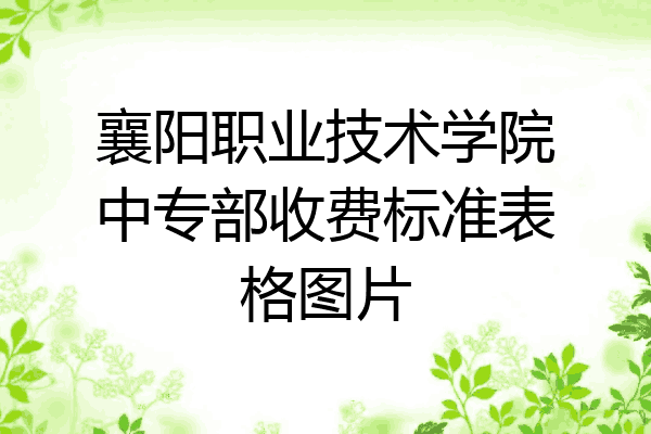 襄阳职业技术学院中专部收费标准表格图片