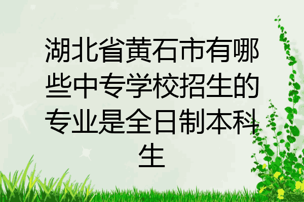 湖北省黄石市有哪些中专学校招生的专业是全日制本科生