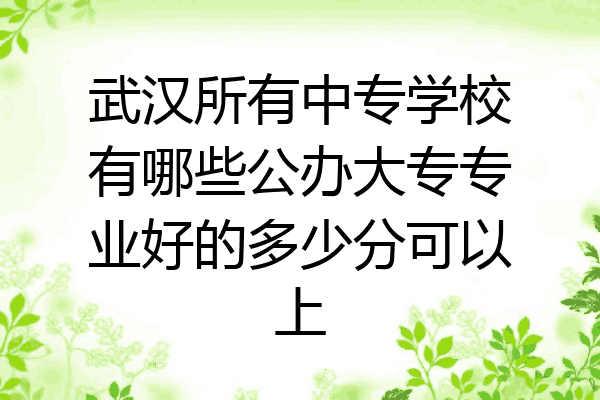 武汉所有中专学校有哪些公办大专专业好的多少分可以上