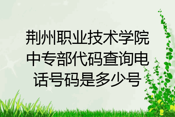 荆州职业技术学院中专部代码查询电话号码是多少号