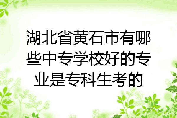 湖北省黄石市有哪些中专学校好的专业是专科生考的